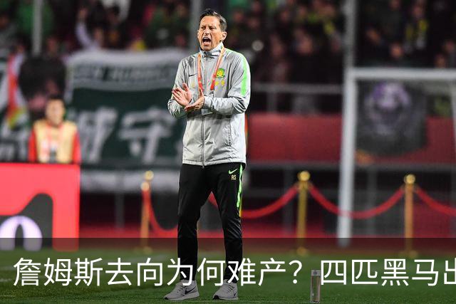 詹姆斯去向为何难产？四匹黑马出现加剧混乱